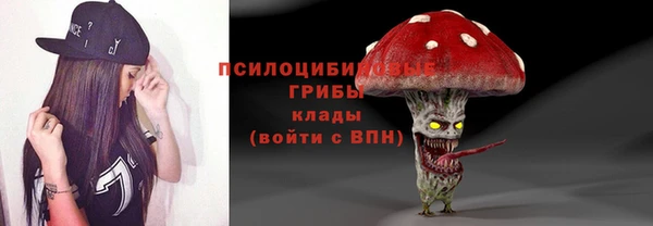 МДМА Лагань